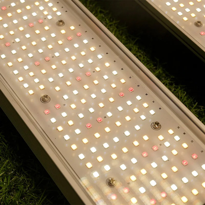 250W lámparas de crecimiento LED de espectro completo al por mayor - tg250 