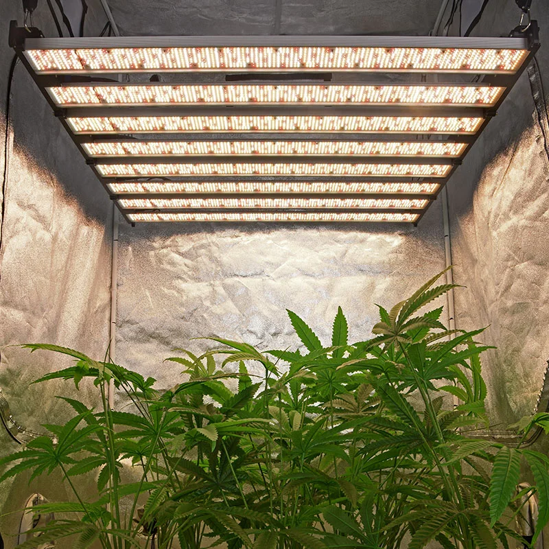 Mejor lámpara de crecimiento de plantas interiores LED comercial plegable de 1000 vatios - tg1000 